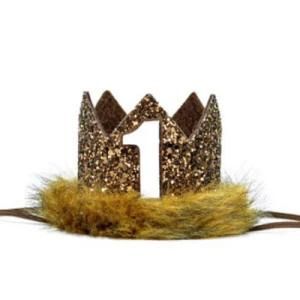 Where Are The Wild Things Party Costume Wild Crown Tail