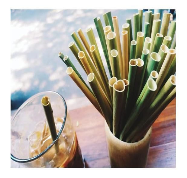 Eco-Friendly Grass Straw - No Contact PLA - Disposable Products From Vietnam