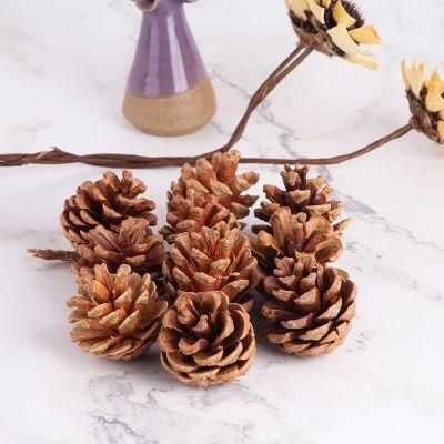 Natural Pine Cones for Christmas Ornaments Dried Flowers with Various Colors