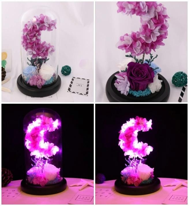 Wholesale 2018 New Products Beautiful Colorful Preserved Fresh Flower Preserved Rose in LED Light Glass Dome