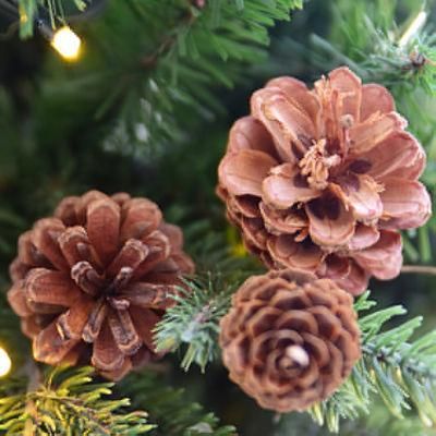 Christmas Tree Ornaments Artificial Pine Cones Xmas Pendant