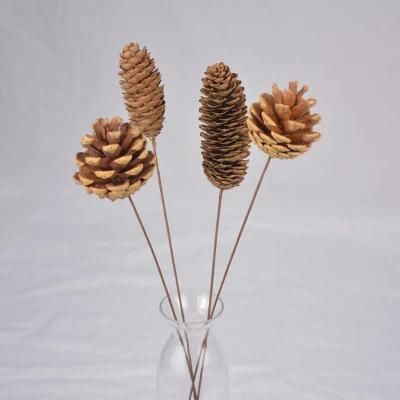 Round 4-6cm Nature Pine Cone for Decoration
