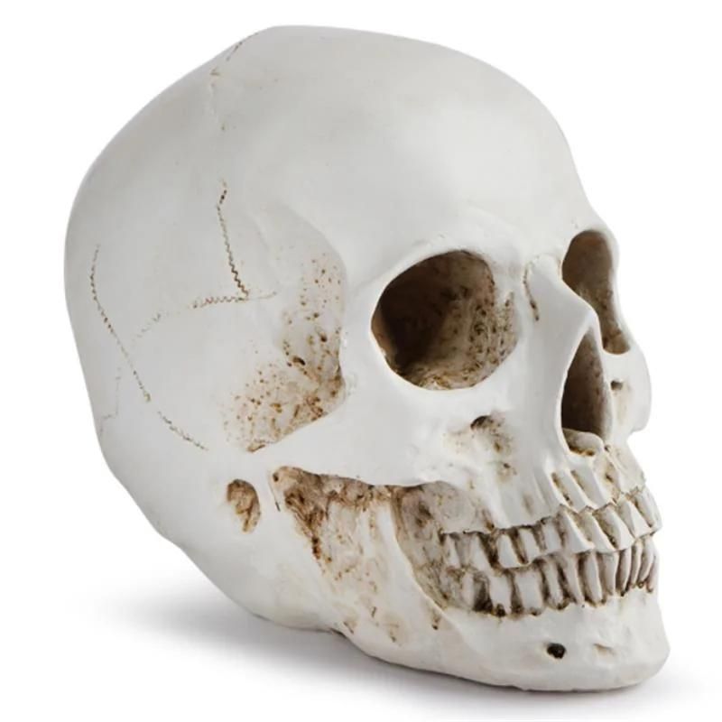 Custom Resin Spooky Human Skull Halloween Gifts & Crafts