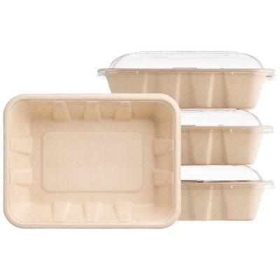 Customized Eco Friendly 100% Biodegradable Compostable Diaposable Sugarcane Box