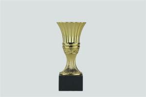 Metal Trophy for Sports Match