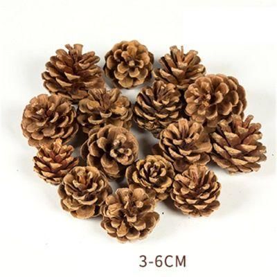 Round Nature Pine Cone for Decoration