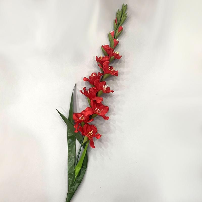 Tall Vase Gladiolus Wedding Flowers with Long Stem Wholesale