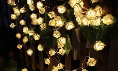 20 or 30 Warm White LED Battery-Operated Rose Bedroom Fairy Lights