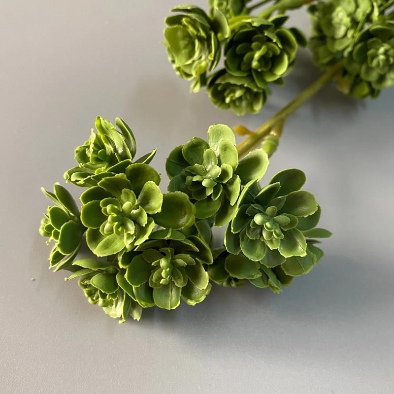 Wholesale Cheap Decorative Artificial signal Stem Succulents