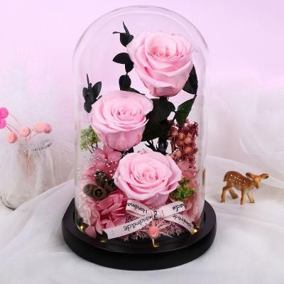 Preserved Roses Eternal Rose Grade a Gift for Valentine&prime;s Day Mother&prime;s Day Christmas Anniversary Birthday Thanksgiving