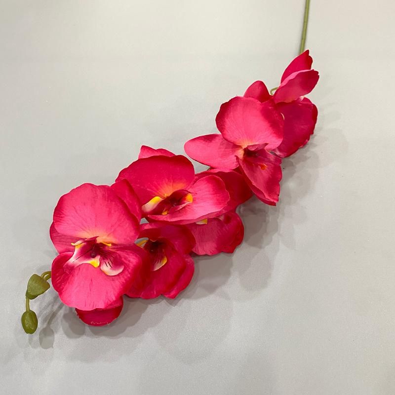 Artificial Phalaenopsis Flower Wholesale Arificila Orchid Flower