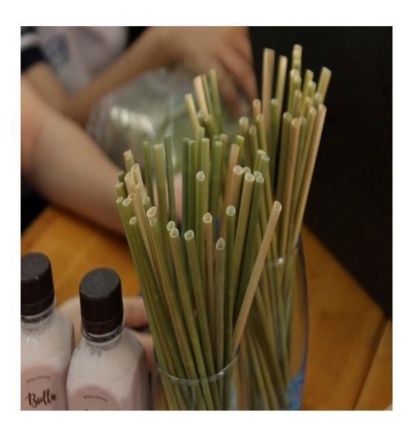 Eco-Friendly Grass Straw - No Contact PLA - Disposable Products From Vietnam