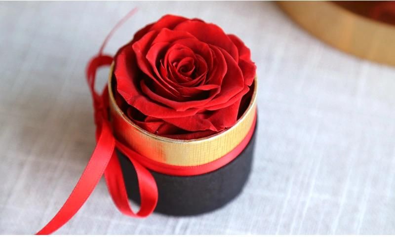 Wholesale Prices Christmas Preserved Rose Flower in Gift Box