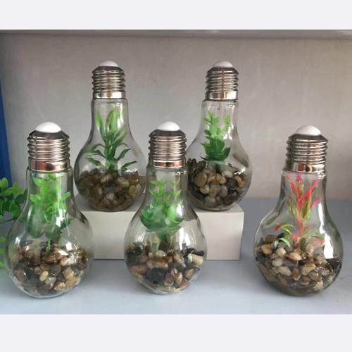 Lp3052 Garden Glass Light with Microlandscape, Decorated with Pebbles and Plants in Yellow Light