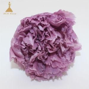 Taro Purple Grade a Preserved Carnation Flower for Christmas Gift Design &amp; Decoration