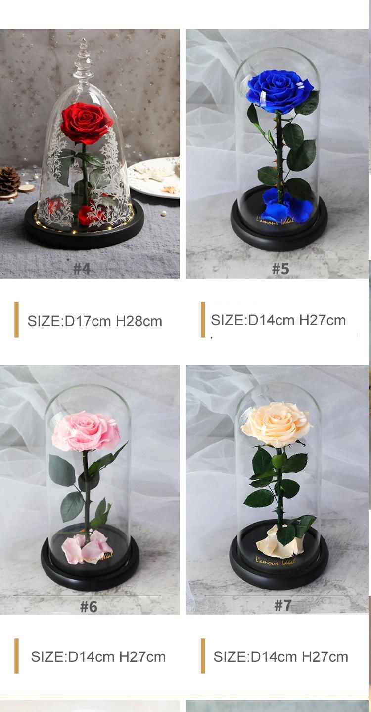 Eternal Rose -Preserved Real Rose in Glass Dome Gift Eternal Flower, Beautiful Gift for Valentine′s Day Mother′s Day Christmas Anniversary Birthday