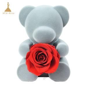 Preserve Flowers Romantic Red Bear Rose for Gift or Decoration Ideas