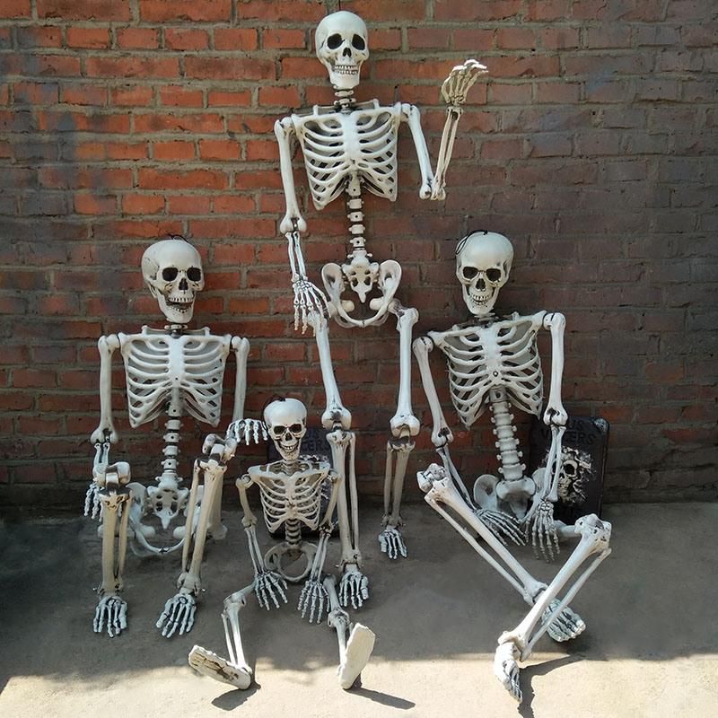 Plastic Full Size Realistic Halloween Skeleton for Holidays