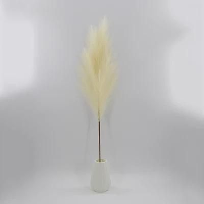 High Quality Large Fluffy Artificial Pampas Grass for Wedding Decoration Wholesale 50 Cm-110 Cm Faux Pampas Grass