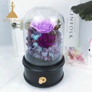 Christmas Gifts &amp; Crafts Rotating Music Box with Purple Preserved Real Roses