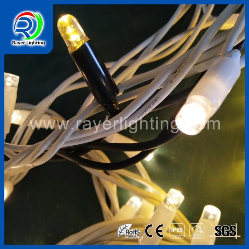 LED String Light Commecial Holiday Decoration Bubble Festival Home Christmas Decoration Lights