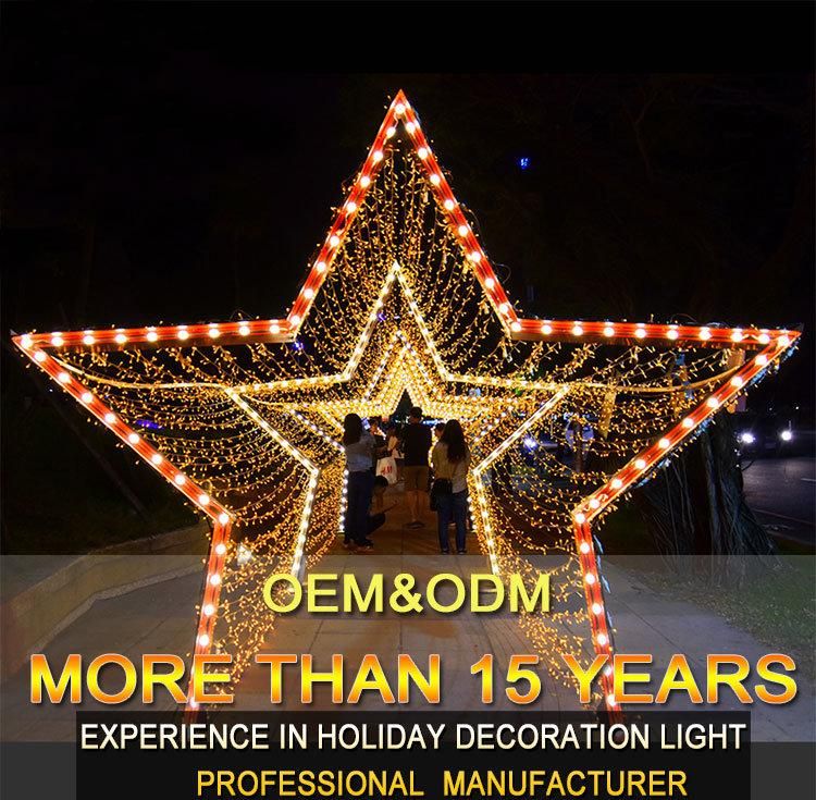 2021 New Wedding Christmas LED 3D Outdoor Motif Light