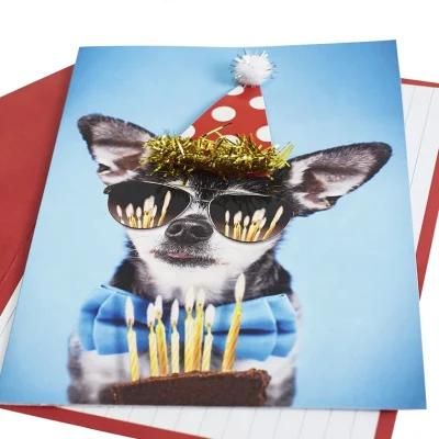 USA Kiddies Birthday Stock Card Gift Bags Black Dog Birthday Cards