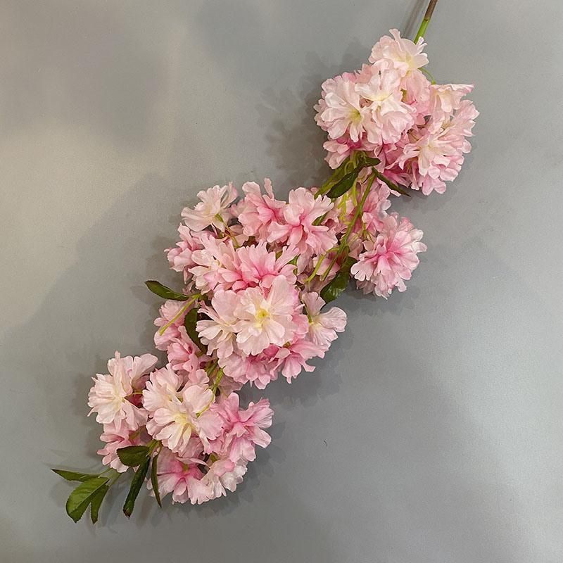 High Quality Cherry Blossom Flower Tree Cherry Blossom Flower
