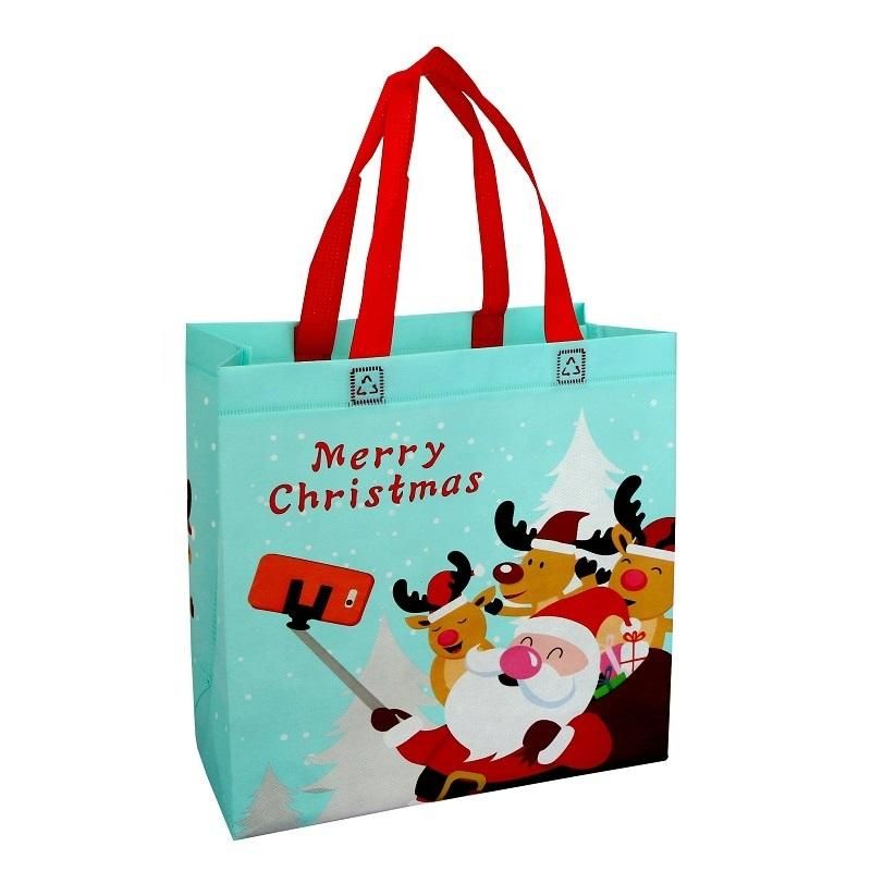 Cheap Ultrasonic Wave Light Customized Reusable Foldable PP Non Woven Gift Bag Christmas