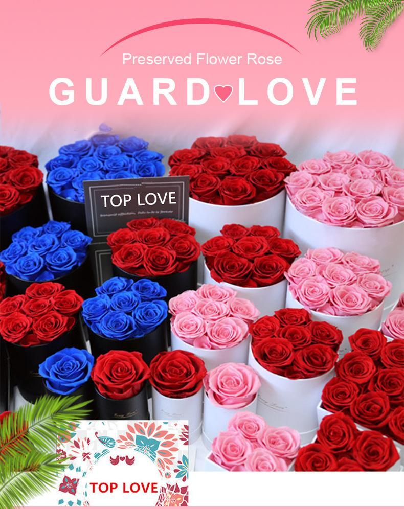 Luxury Real Preserved Rose Gift Box Eternal Flower Forever Beauty and The Beast Infinite Love Handmade Gift Mom Women Wife Girlfriend Valentine′s Day Birthday