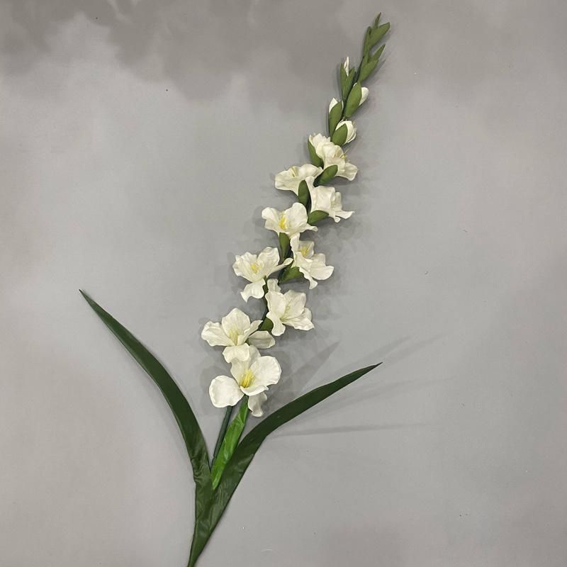 Tall Vase Gladiolus Wedding Flowers with Long Stem Wholesale