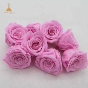 4~5cm Light Pink Longlasting Natural Roses Preserved Eternal Flowers for Wedding Decoration