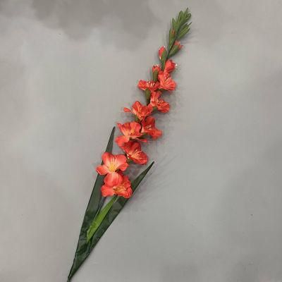 Tall Vase Gladiolus Wedding Flowers with Long Stem Wholesale