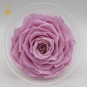 Eternal Wedding Preserved Flower Arrangement Rose