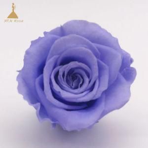 Grade a 2-3cm Preserved Natural Roses for Wedding Bridal Bouquets