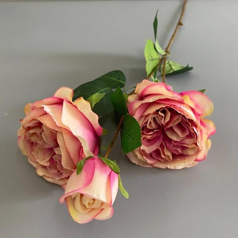High Quality Artificial Austin Rose Flower for Wedding Decoration