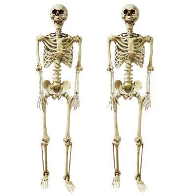 Haunted House Gold Animals Halloween Skeleton for Holidays