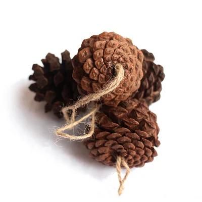 DIY Christmas Decors 4PCS 10cm Natural Dried Pine Cones