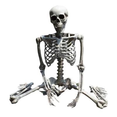 Best Quality Pose-N-Stay Posable Joints Human Halloween Skeleton