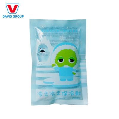 Promotion Factory Sale Fresh Food Ice Pack for Cooler Food