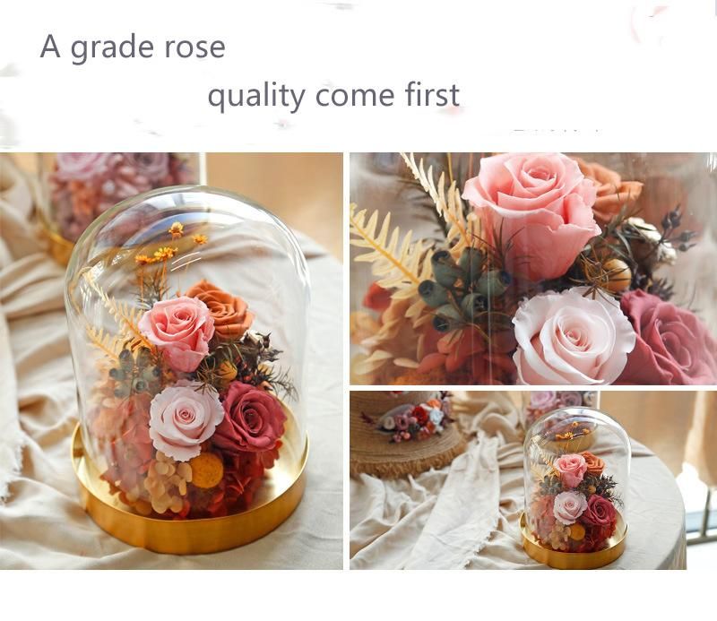 Wholesale Roses Preserved Long Lasting in Glass Dome with Box