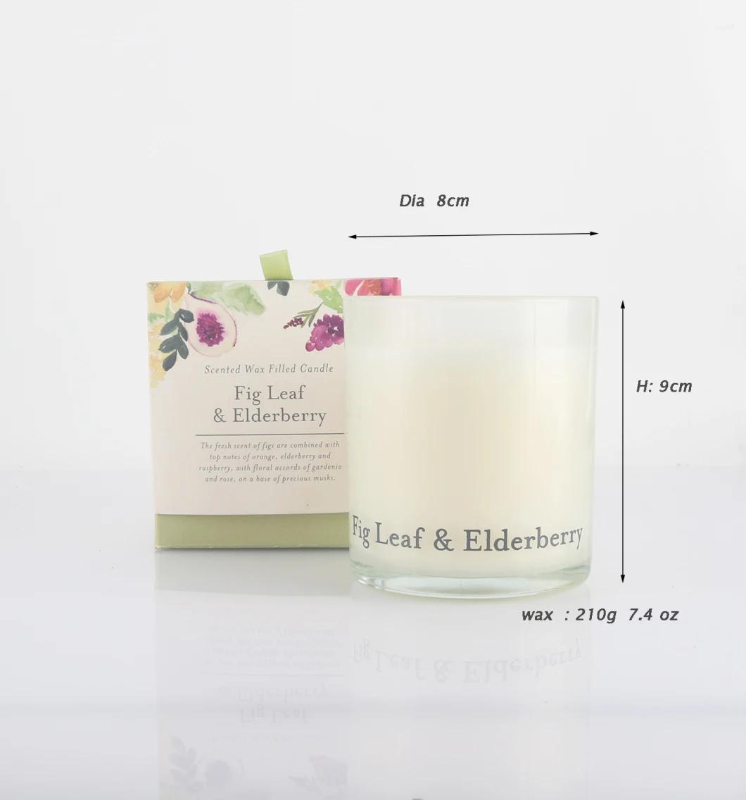 Fig Leaf &Elderberry Glass Candle Set for Mother′ S Day