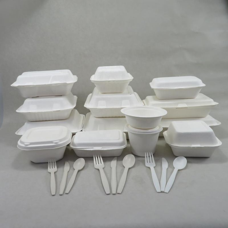 Wholesale Biodegradable Sugarcane Bagasse Food Paper Lunch Containers Togo