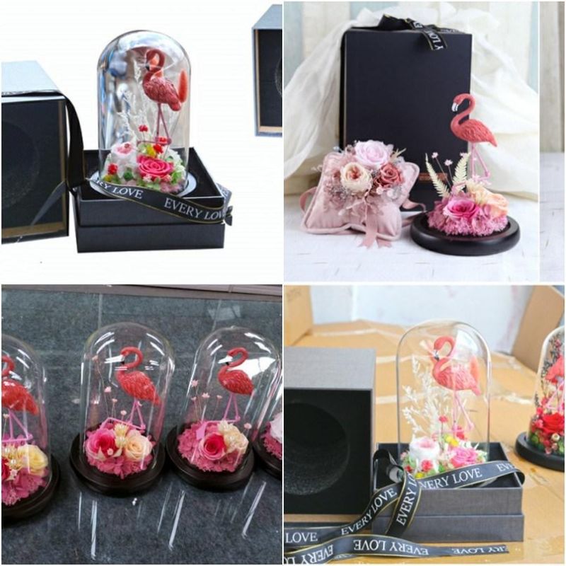 100% Fresh Natural Long Life Real Preserved Flower Preserved Bird Rose in LED Light Glass Dome