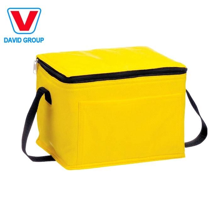 Polyester Picnic Insulated Cooler Bag for Keeping Food Fresh