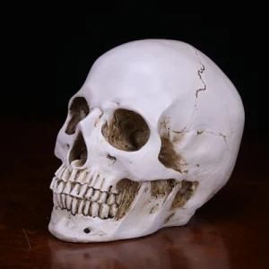 2021 New Figurines Art Crafts Skull Resin Decor Handmade Technique Color Wholesale Skull Sculpture Home Decoration/Accessories