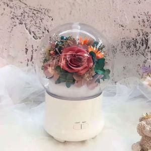 Preserved Flowers Humidifier and Essential Oil Diffuser in One for Yoga Room