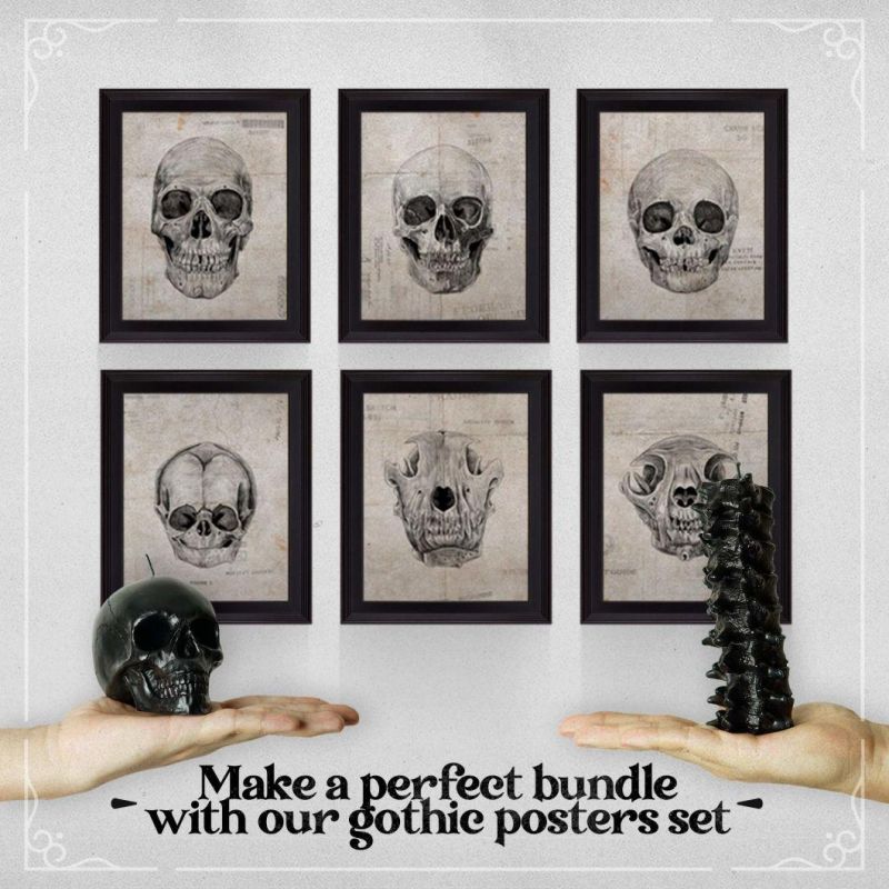 Spine & Skull Candle Set - Scented 4 Pack - Gothic Decor for Bedroom - Black Skull Decor for Home - Goth Room Decor