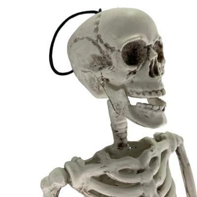 Movable Joints 5 FT Animals Bracelet Halloween Skeleton