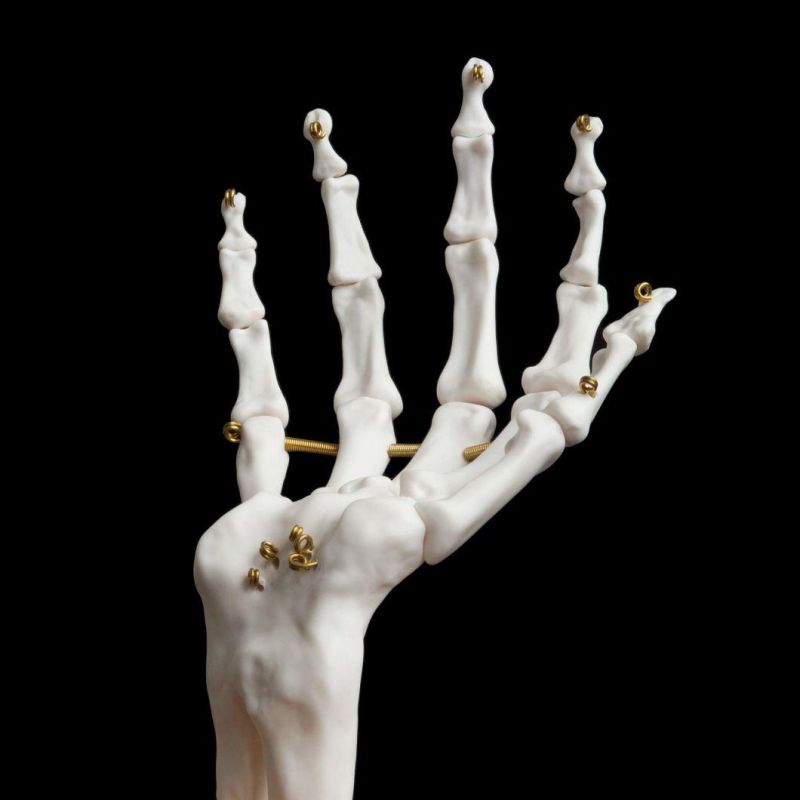 Skeleton Hand Ring Holder & Dresser Organizer Holder Halloween Decorations Unique Gifts White